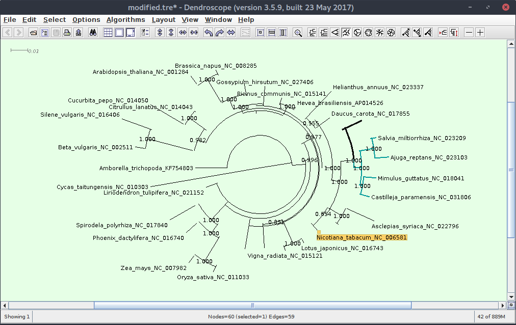 Dendroscope