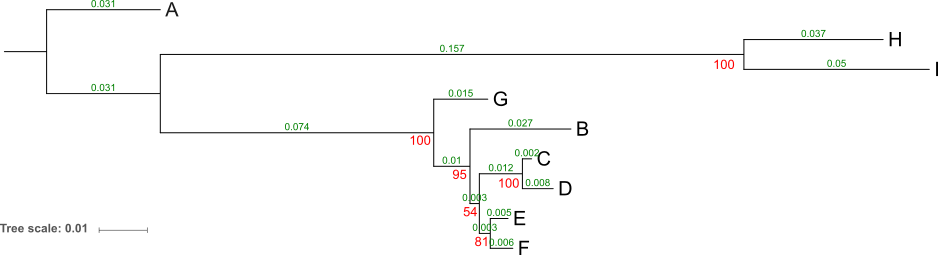 Dendrogram z oznaczeniami